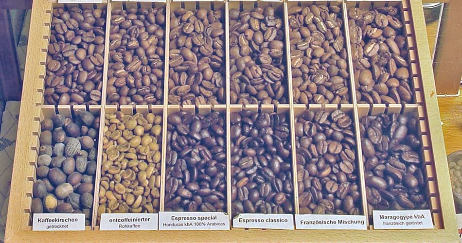 Coffee Bean Types - The Story of Coffee